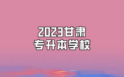 2023甘肃专升本学校