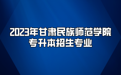 2023年甘肃民族师范学院专升本招生专业