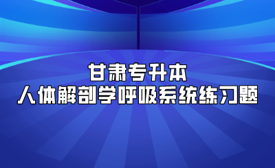 甘肃专升本人体解剖学呼吸系统练习题